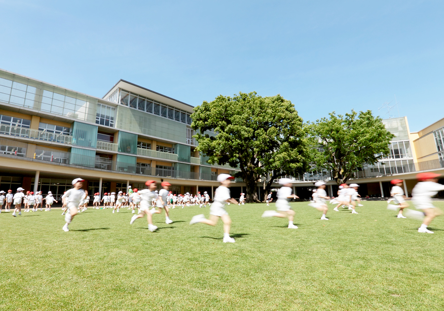 青山 学院 初等 部 親 の 職業